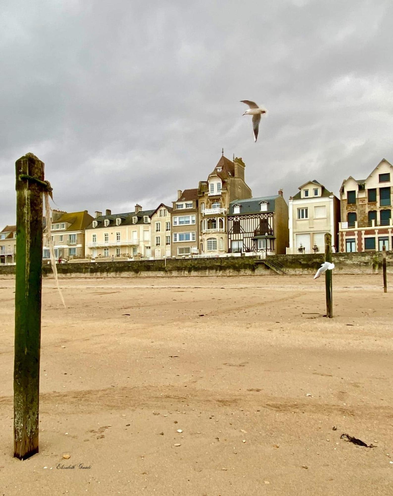 Saint-Aubin-Sur-Mer: Bel Appartement Traversant Zewnętrze zdjęcie